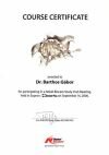Dental Certificate - Nobel Biocare Implants - Dentistry Abroad